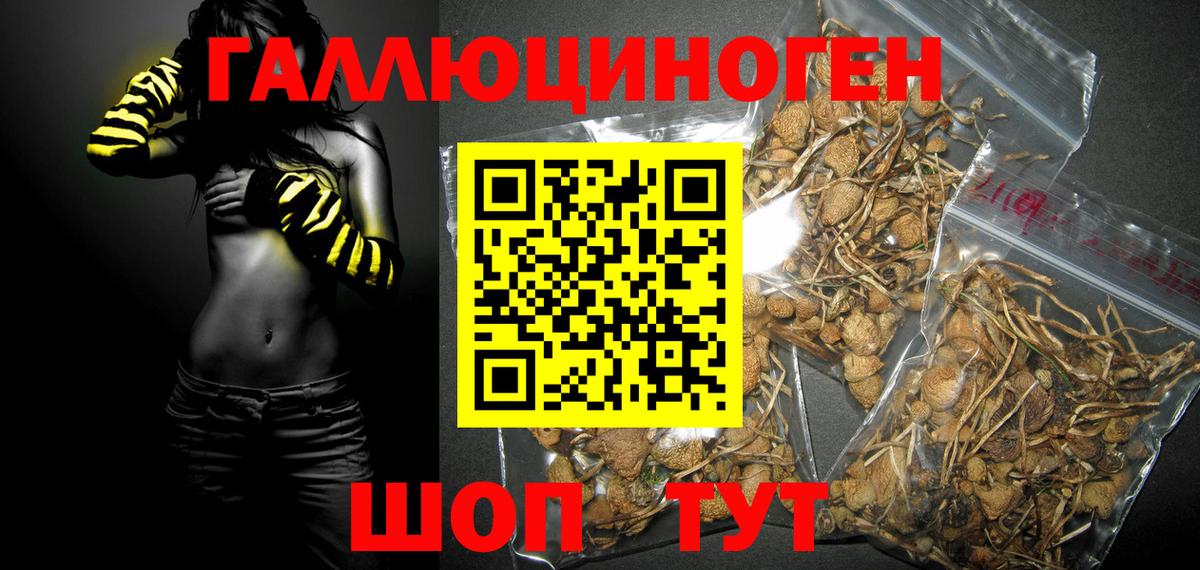 Галлюциногенные грибы мухоморы  Вход с VPN  Сокол 